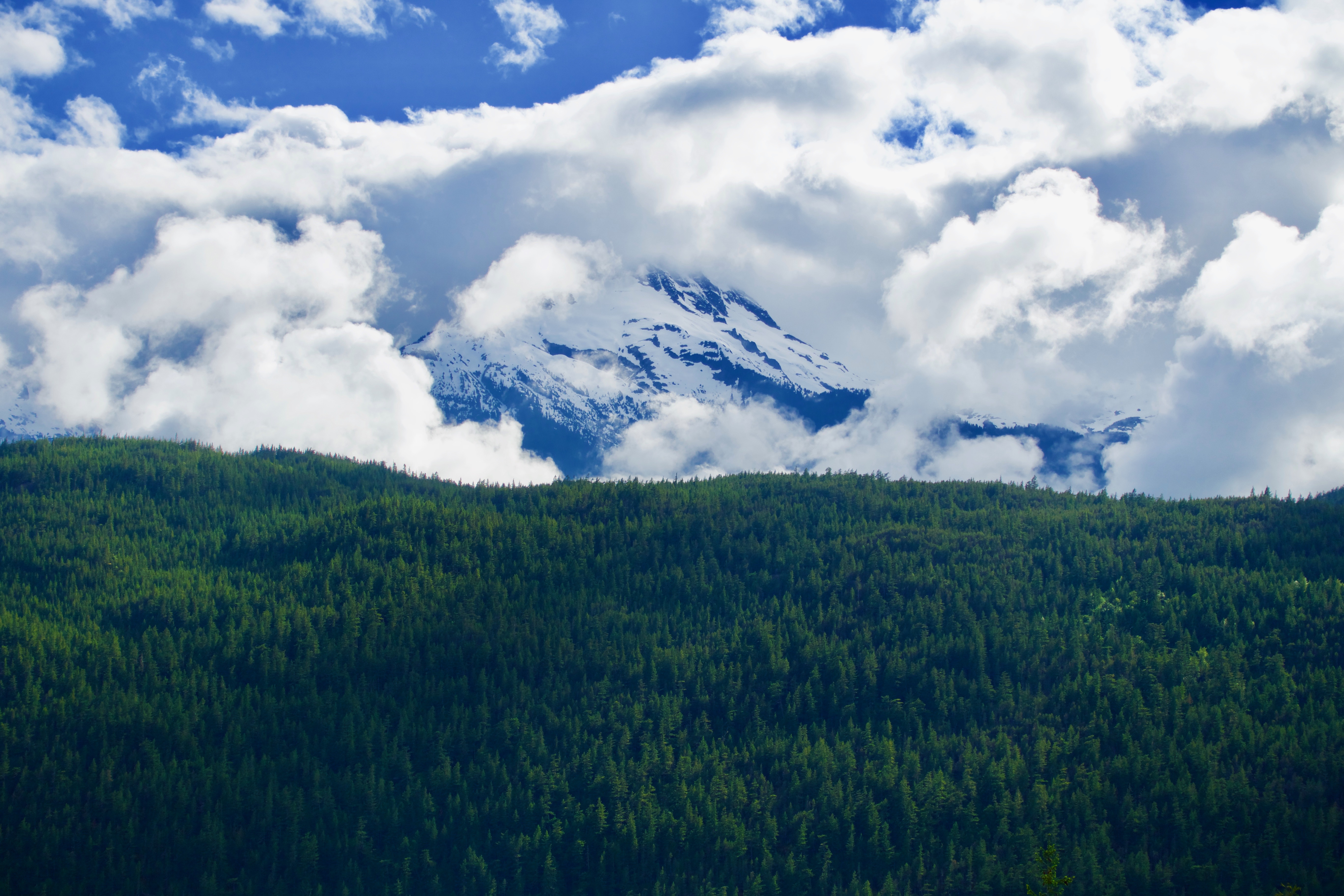 A full-size image example